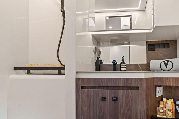 Head with electric flush toilet and sink.